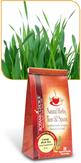 Catnip Herb Tea by Botanic Choice